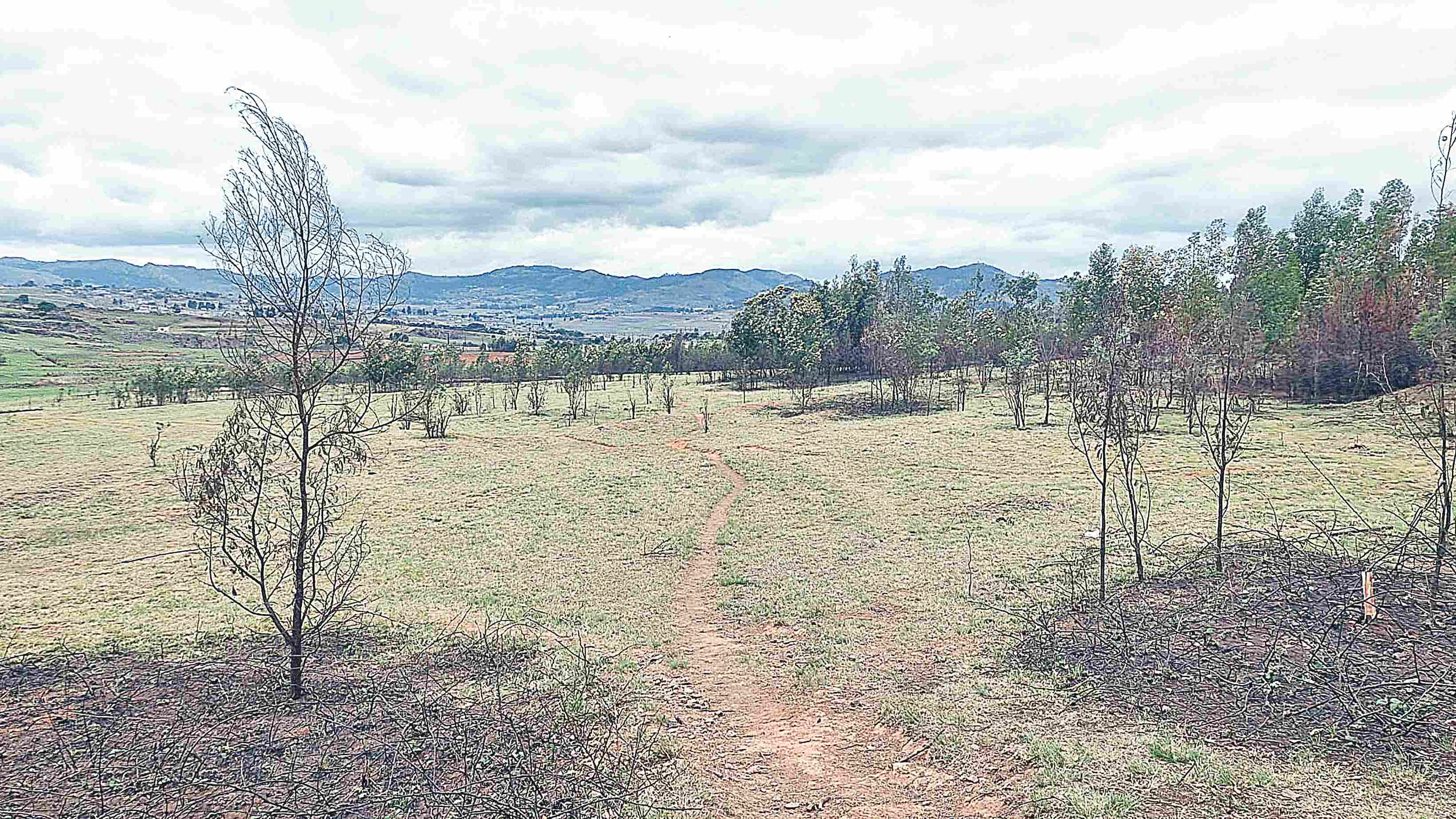 31ha farm for sale in Ngwenya 